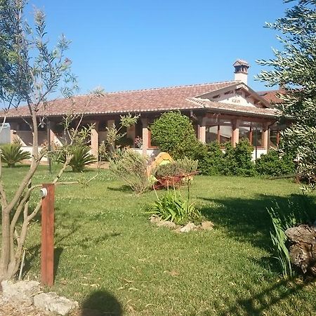 La Piana Di Alsium Vila Ladispoli Exterior foto
