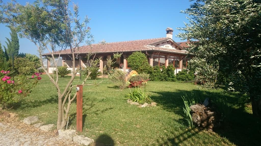 La Piana Di Alsium Vila Ladispoli Exterior foto